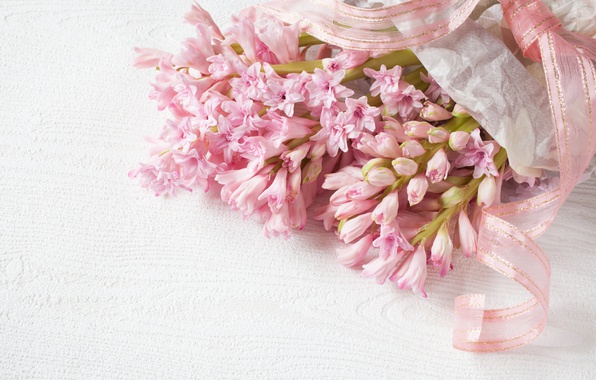 hyacinths-giatsinty-rozovye.jpg