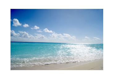 하나님이 믿는이들을 다루시는 길―왕국에서의 징계(Ⅱ)