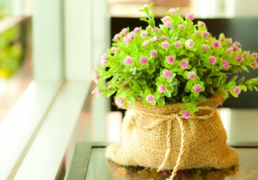 I love You, Lord Jesus