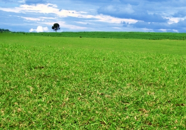 지방교회 탐구3-교회 직제는 달라도 고백은 같다
