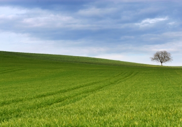 지방교회 탐구4-미국 CRI “삼위일체 문제없어”