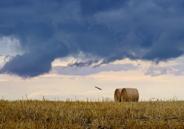 유동근 목사와 “나의 잊을 수 없는 기억들”의 실체에 대한 코람데오 님의 반론 모음