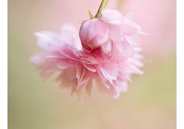 특별하고 최종 완성적인 예수의 증거