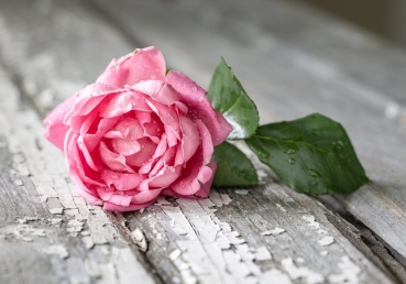 교회의 실행에 관련된 간략한 질문과 응답