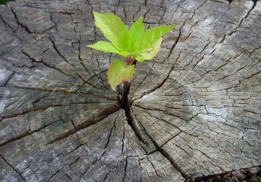 한국교계에 닫힌 핵심진리 - 『이기는 자』