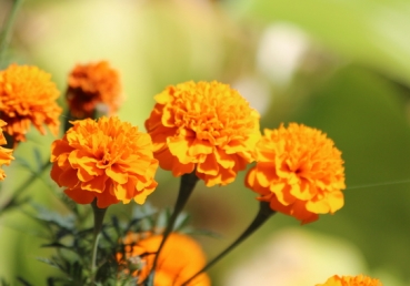 I’m gonna praise God unceasingly