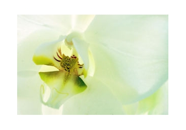 하나님이 믿는이들을 다루시는 길―천국에 들어가는 조건