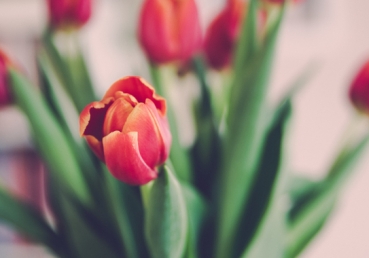 Thank You, Lord Jesus, for dying for me