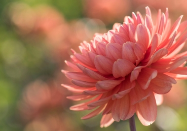 교회 안의 문제들을 처리하는 올바른 길