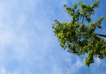 마음과 영의 처리