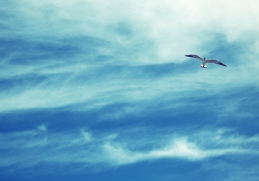 자신을 숨기시는 하나님