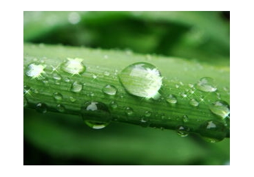 생명 주는 영은 누구이신가?