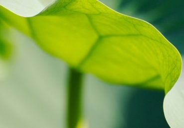 I know not what awaits me