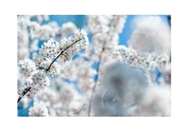 아버지, 또는 성령이 세 위격 모두를 가리킬 때가 있다