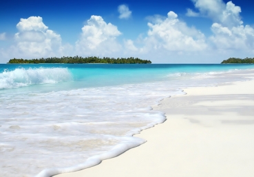 이인규님의 글에 대해 반박을 해볼까?(1)(2)