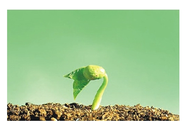 한국교계에 닫힌 핵심진리 - 『생명』