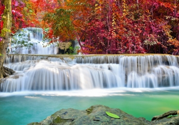 Christ has come to be life