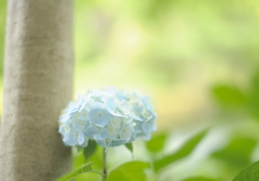 위트니스 리 형제님의 일기