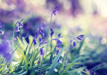 계급과 조직에 대하여(한글)