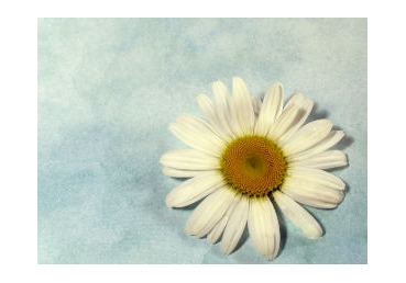 하나님의 목적을 성취하기 위해 은혜를 앎―씨와 땅