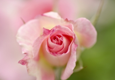 한기총 ‘이대위’ 7인 소위원회 질문에 대한 답변