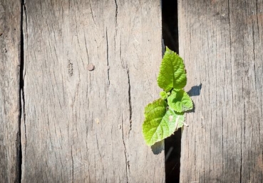 예장통합 93차 총회보고서, 최삼경은 사실상 이단
