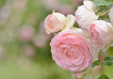 O Lord, as we consider Thee