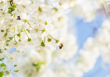 시대의 사역자, 무오류하지 않음