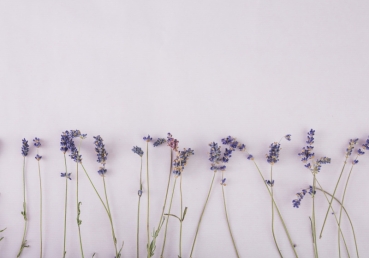 교회 안의 문제들을 처리하는 올바른 길(한글)