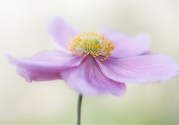 마태복음 28:19 과 한 인격 예수님