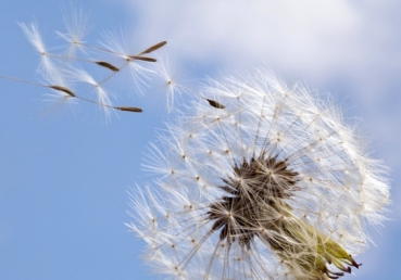 Remove My Covering, Lord