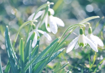 시대의 사역자, 무오류하지 않음(한글)