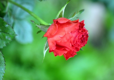 중국 내 지방 교회들에게 동방번개 이단을 경계하라는 서한