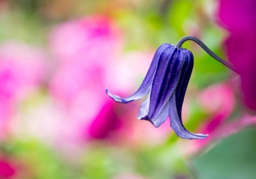 Lord I give myself to You right now