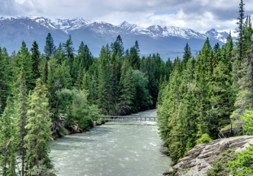 Seek ye the Lord all ye people