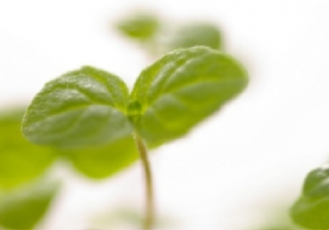 핵심쟁점 -『마태복음 7장 21절의 바른 해석』