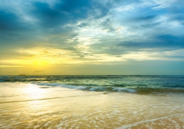 지방 교회를 공격하는 동방번개(전능신교)에 대한 방송사들의 영상 내용 및 강연