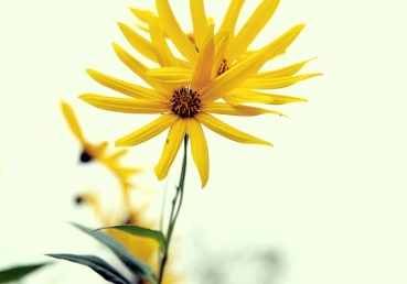 이인규 씨의 <지방교회의 교리 개요>에 대한 지방교회 측의 반론