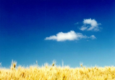 마7장 21절이 천국에 들어가는 조건으로 제시한 『하나님의 뜻』