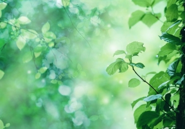 고전 15:45 - 생명주는 영