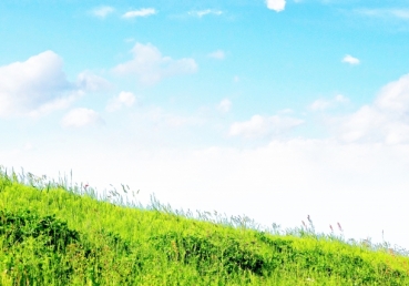 한기총의 최삼경 목사 삼신론 등에 대한 이단 규정  발표문