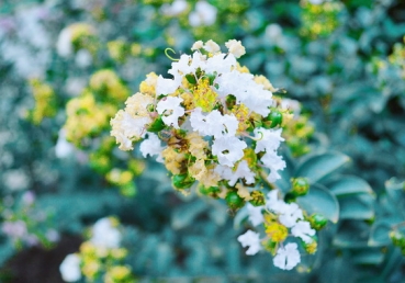 If God leads you to walk a way