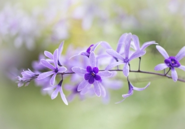 김활 목사의 “지방교회(Local church)의 문제점”이라는 글에 대한 지방교회 측의 반론(2)