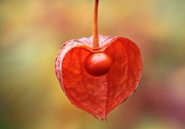 이인규님의 글에 대해 반박을 해볼까?(5)(6)