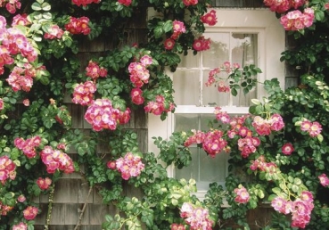 There's a life that's deeper than our mind