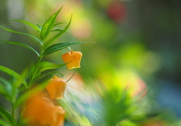 When we contact the Triune God