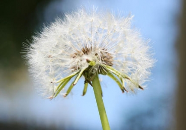 영에 속하는가 두뇌에 속하는가