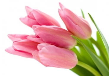 지방교회를 정통으로 인정한 풀러신학교는 어떤 곳인가요?