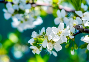 현대종교 2014년 7-8월호 거짓 기사 내용에 대한 항의 및 정정보도 요청