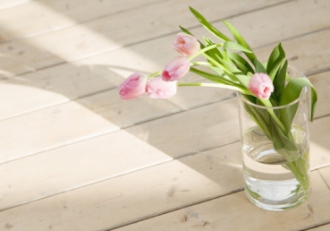 이단사이비 대책은. 한기총 고유 권한